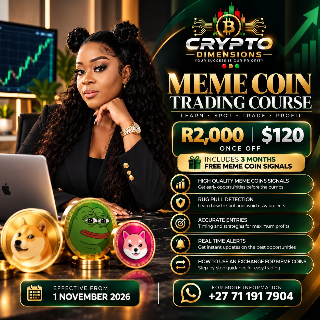 Meme Coin Trading Course promotional brochure