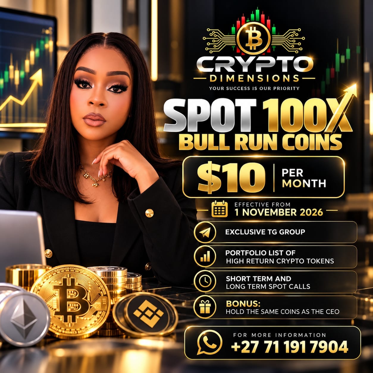Spot 100X Bull Run Coins promotional brochure